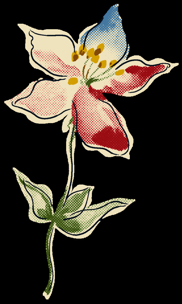 手绘涂鸦花朵装饰元素