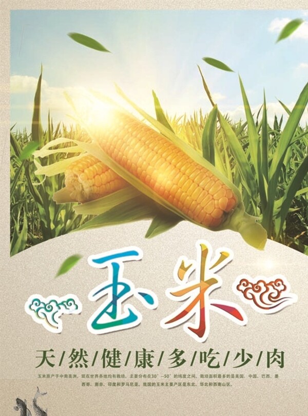 有机新鲜玉米蔬菜促销海报