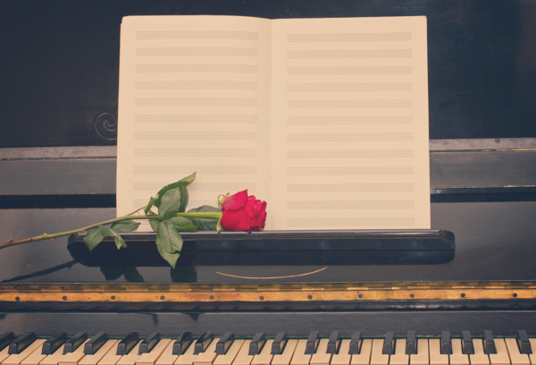 玫瑰花乐谱钢琴图片