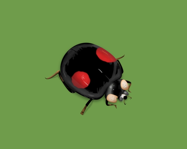 甲壳虫图标icon图片