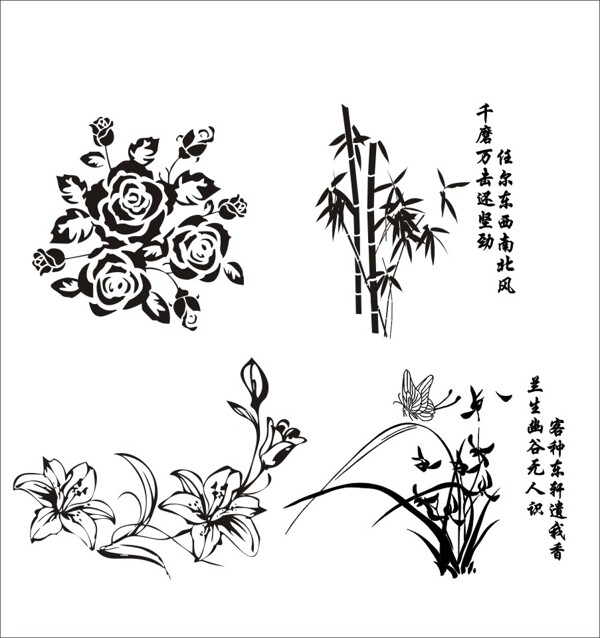 花卉黑白线描