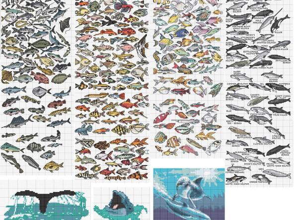 十字绣鱼类图谱图片