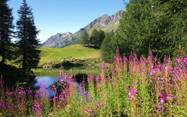 美国阿拉斯加美丽的湖光山色风景