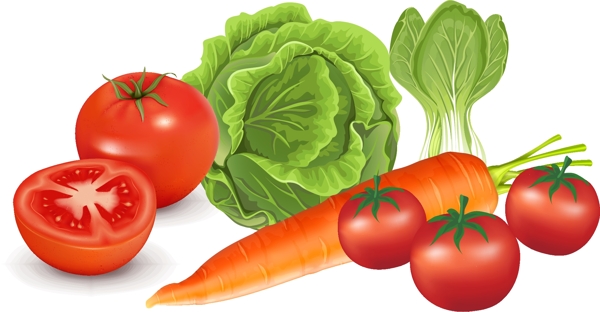 矢量番茄白菜元素