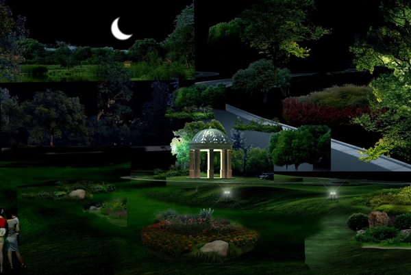 夜景观树素材图片