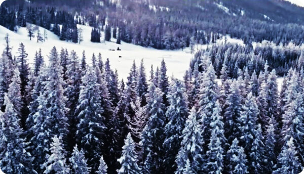 北方初冬雪景视频