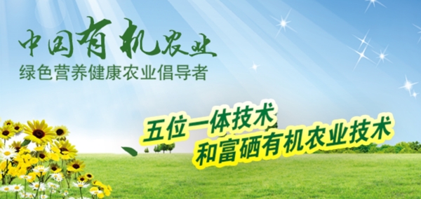 绿色有机广告banner