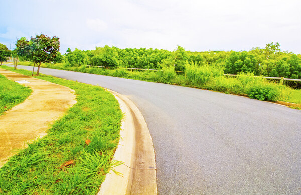 澳洲公路转弯处特写