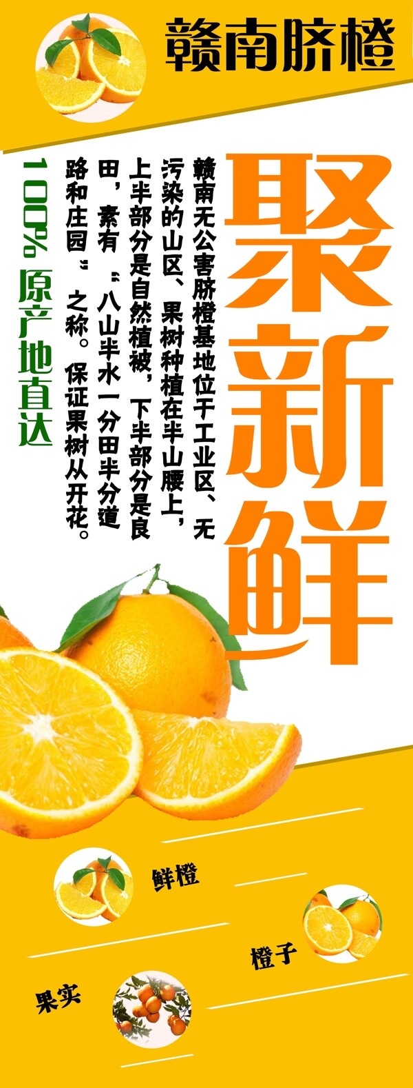 聚鲜橙