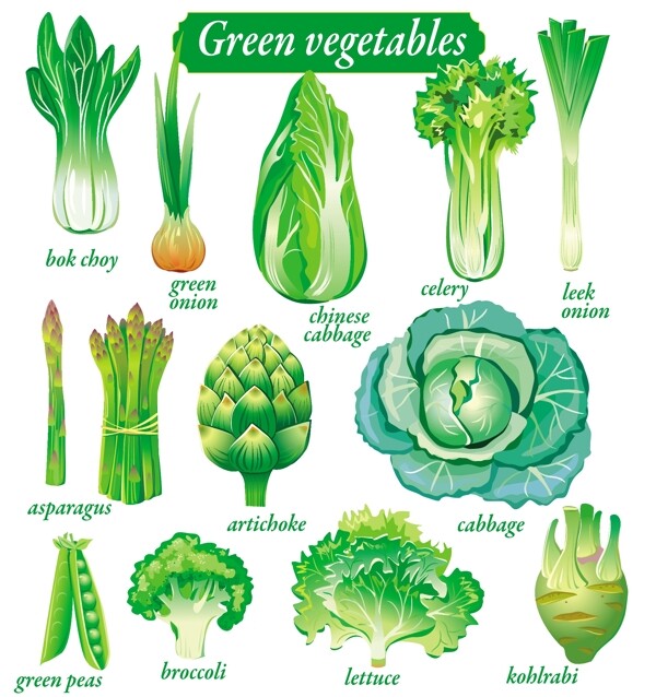 精致绿色蔬菜
