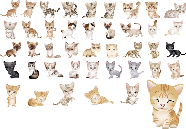 40超可爱的小猫咪矢量素材
