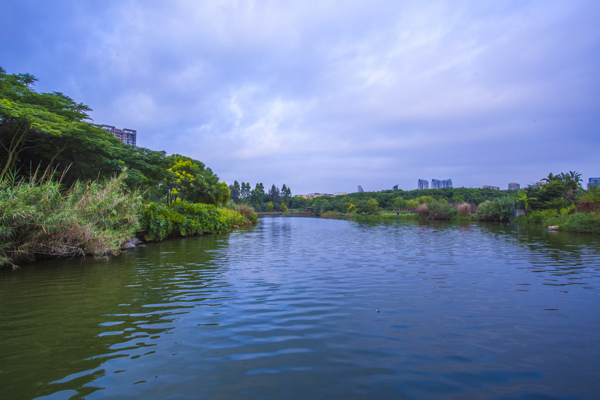 厦门五缘水乡酒店风景