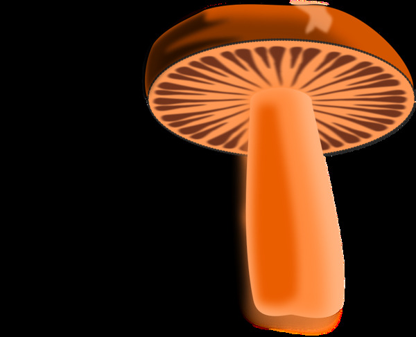 棕橙色蘑菇