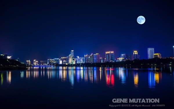 南宁南湖公园之夜图片