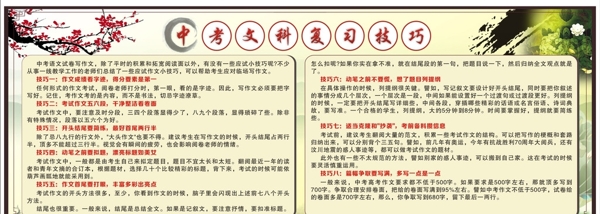 中考文科复习技巧宣传栏