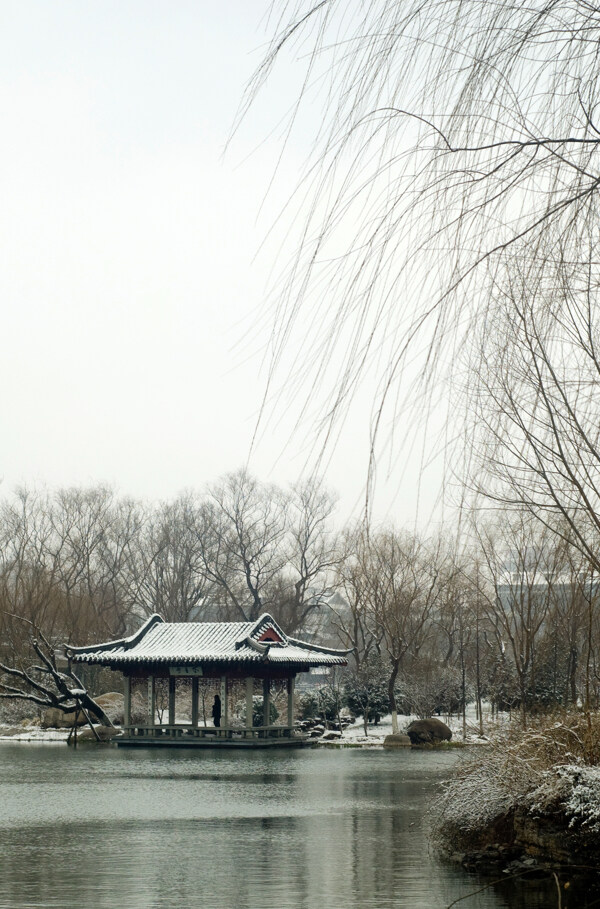明湖冬景2图片