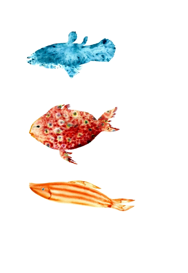 手绘彩绘三条鱼鱼类装饰画