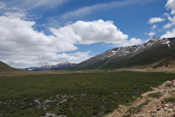 风景