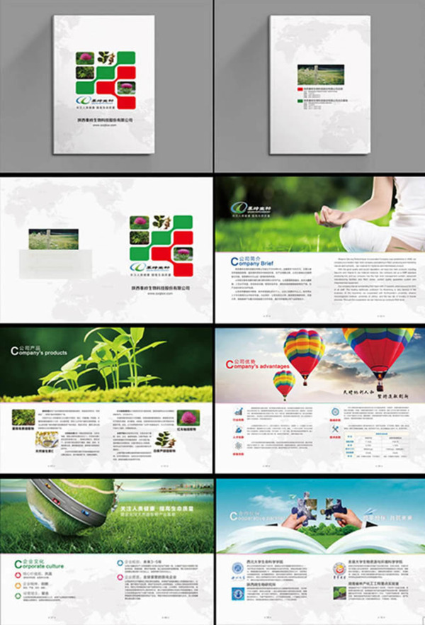 企业品牌文化宣传画册模板设计psd素材