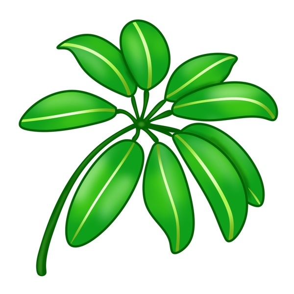绿植热带植物