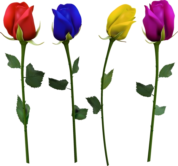 4朵彩色玫瑰花矢量素材