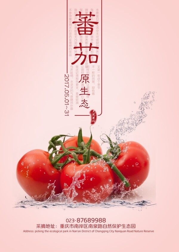 西红柿蕃茄广告