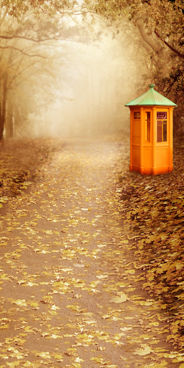 秋天落满树叶的路影楼摄影背景图片