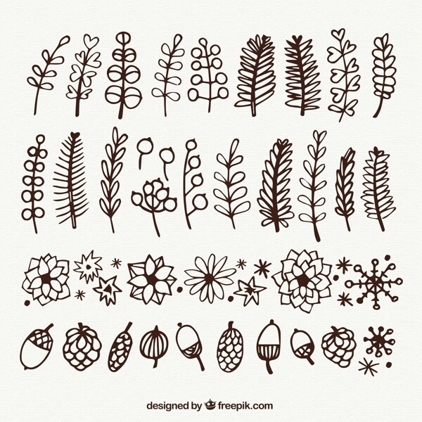 38款手绘植物设计矢量图