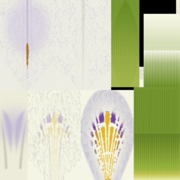 植物花草装饰素材室内装饰用品素材3d模型素材76