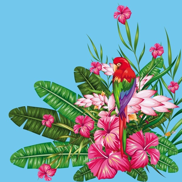 热带花卉和金刚鹦鹉