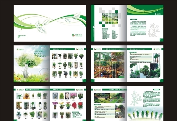 绿业画册图片