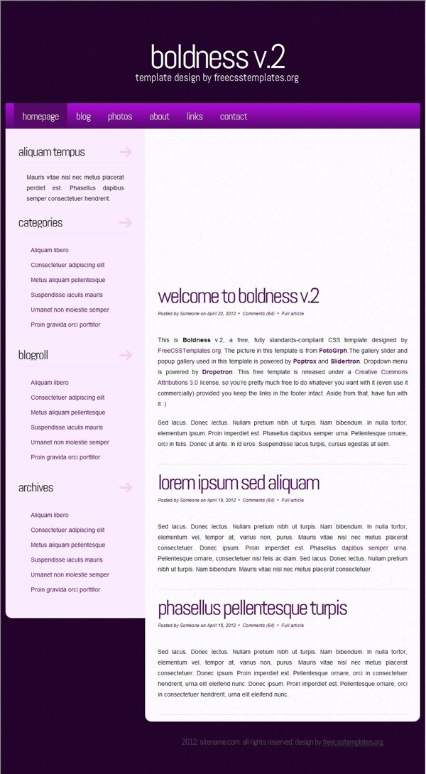 魄力紫梦信息网页模板