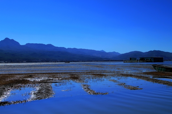 丽江拉市海景图片