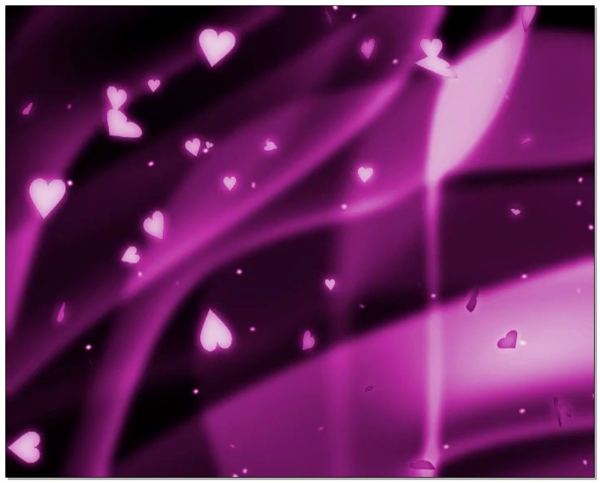 浪漫紫色婚礼装扮视频素材