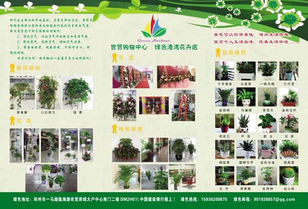 绿植花卉宣传页