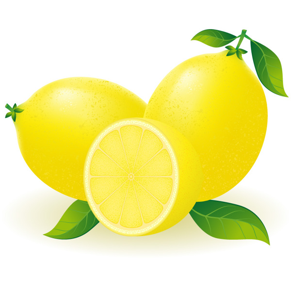 新鲜柠檬矢量素材