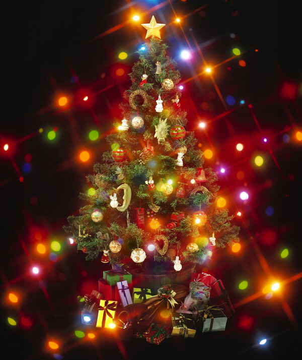 圣诞树背景模板图片