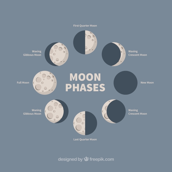 月球的不同阶段