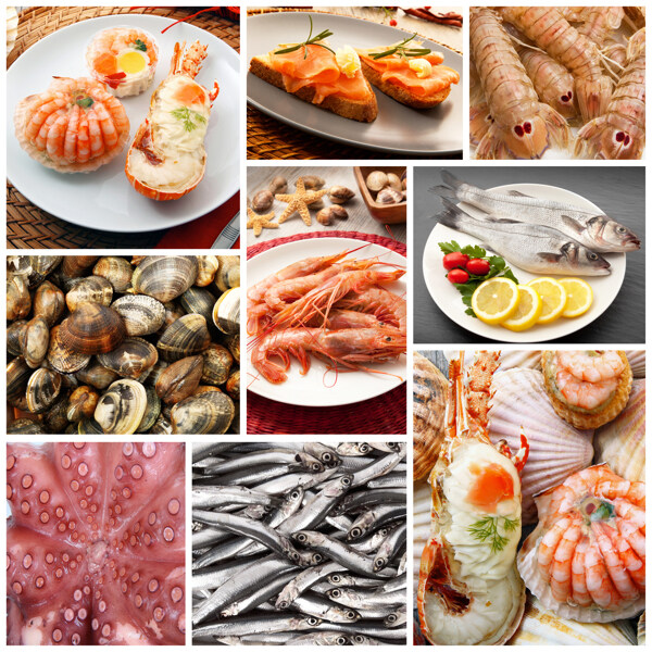 各种海鲜和外国美食