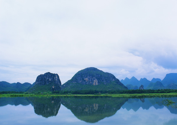 树植物风景水