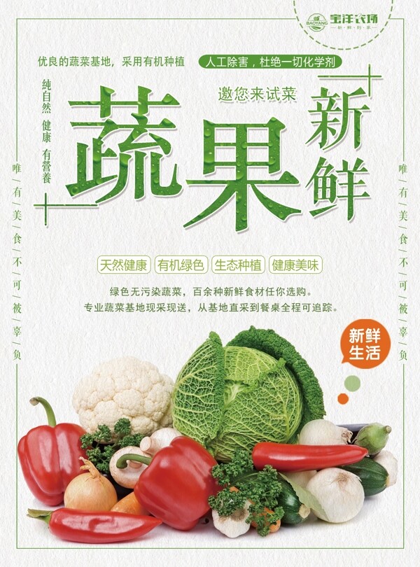 绿色的蔬菜海报展板