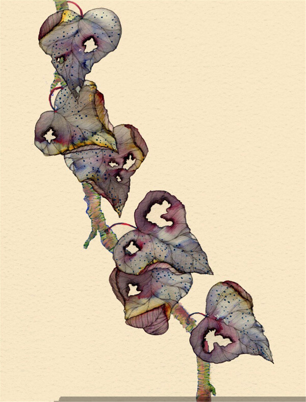 紫色树藤插画图
