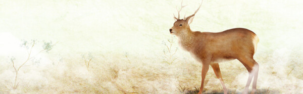 油画麋鹿动物背景