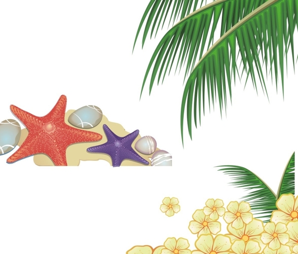 椰子树海五星