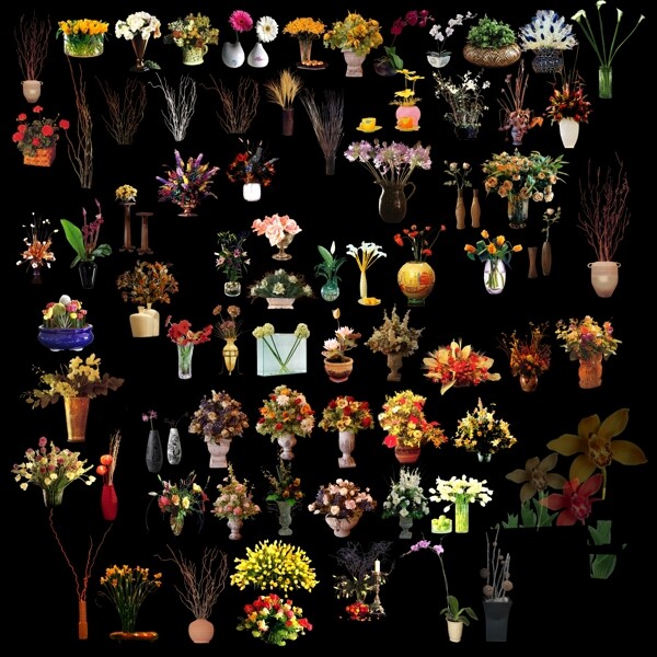 装饰花卉绿植图片