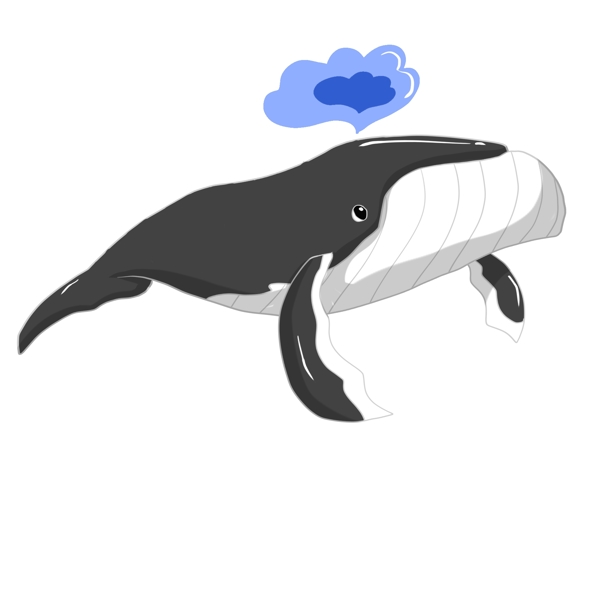 黑色喷水的鲸鱼插画