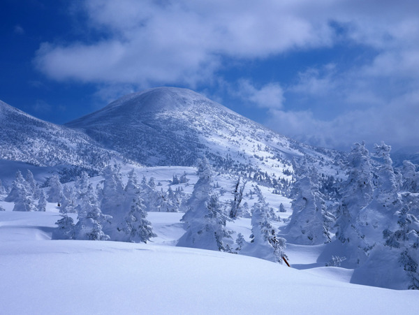 雪景专题