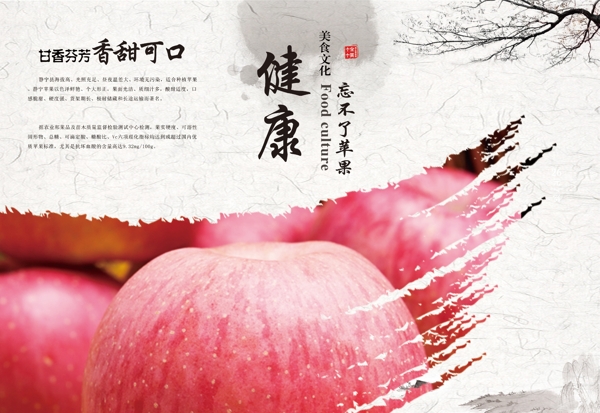 红富士苹果广告册