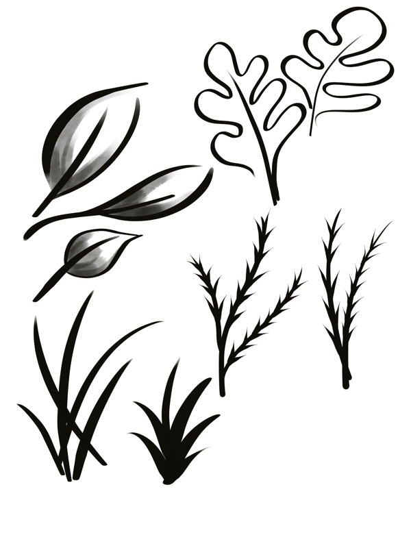 植物剪影树叶黑白手绘树叶小草