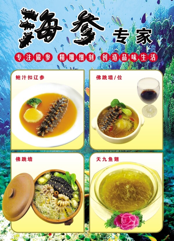 海参菜品展示图片